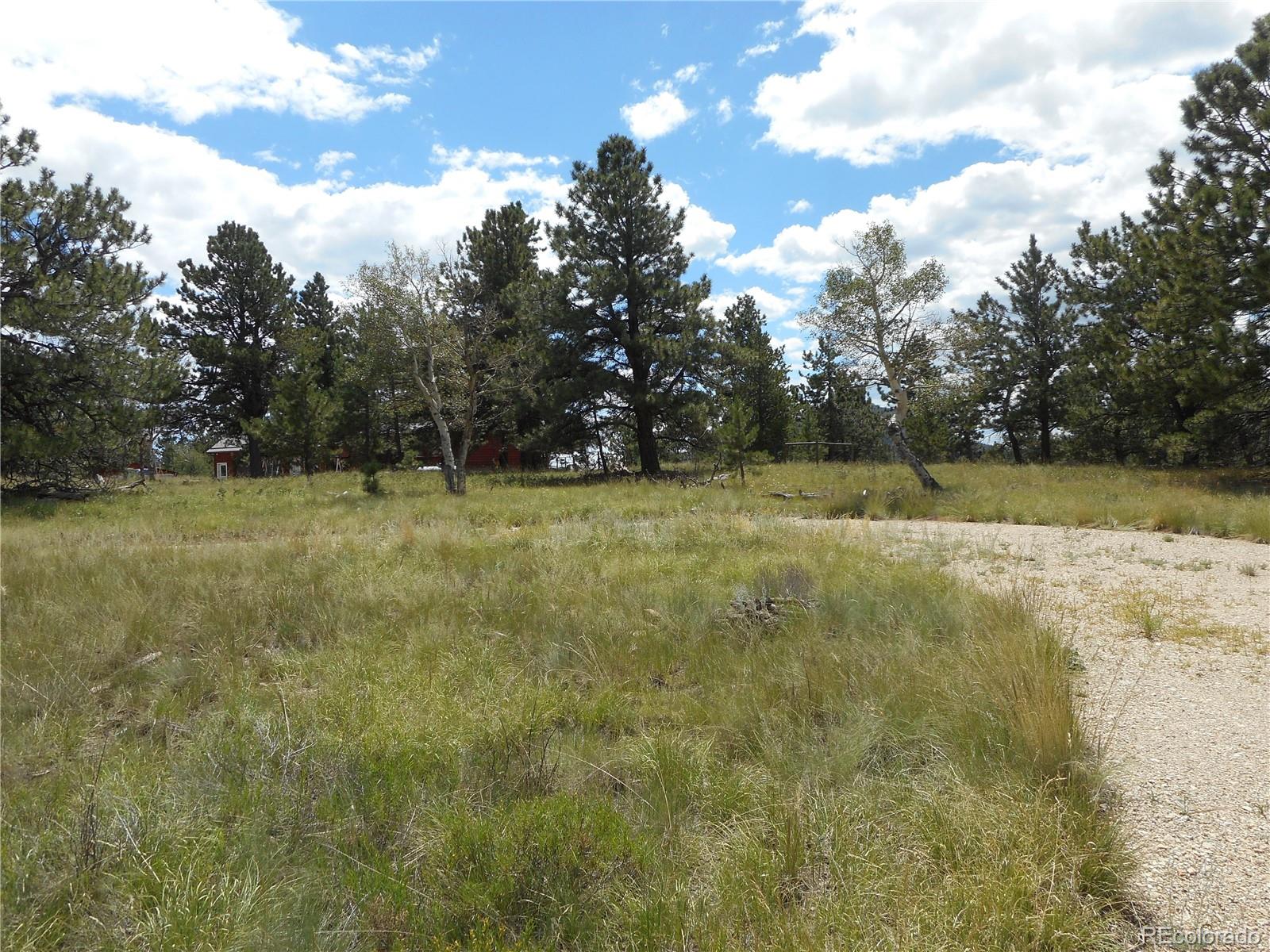 3182 Singletree Road Hartsel, CO 80449 - Photo 11 of 13