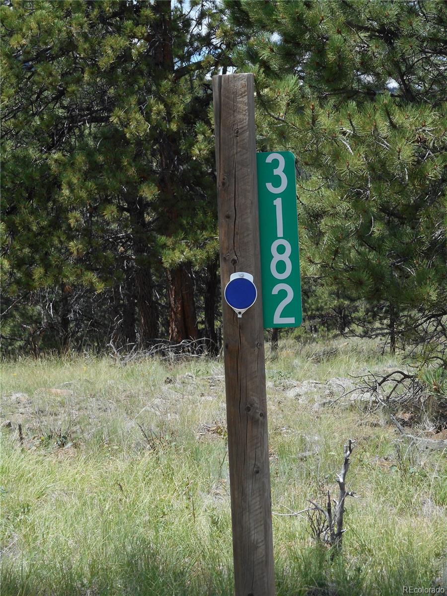 3182 Singletree Road Hartsel, CO 80449 - Photo 12 of 13