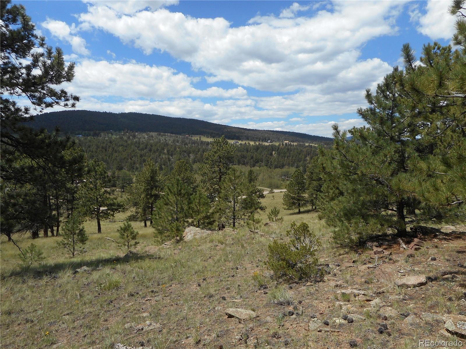 3182 Singletree Road Hartsel, CO 80449 - Photo 2 of 13