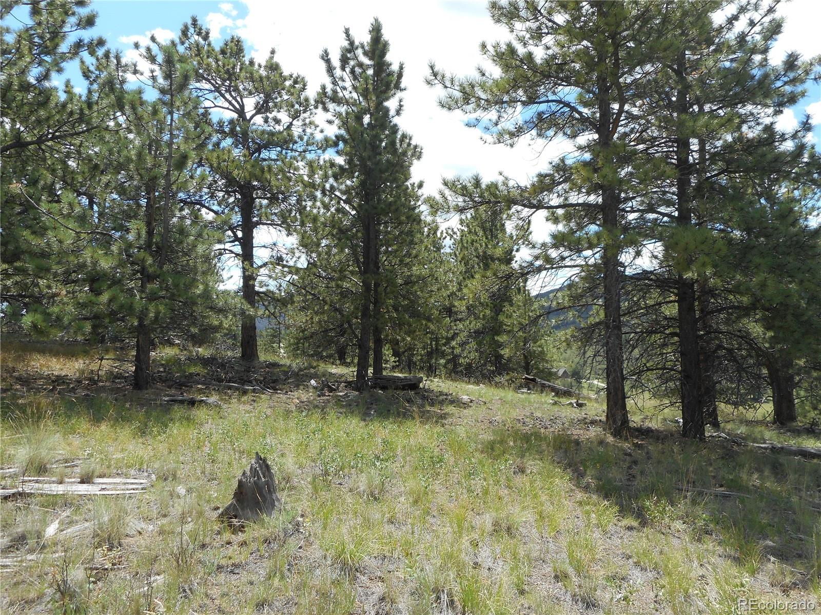 3182 Singletree Road Hartsel, CO 80449 - Photo 3 of 13