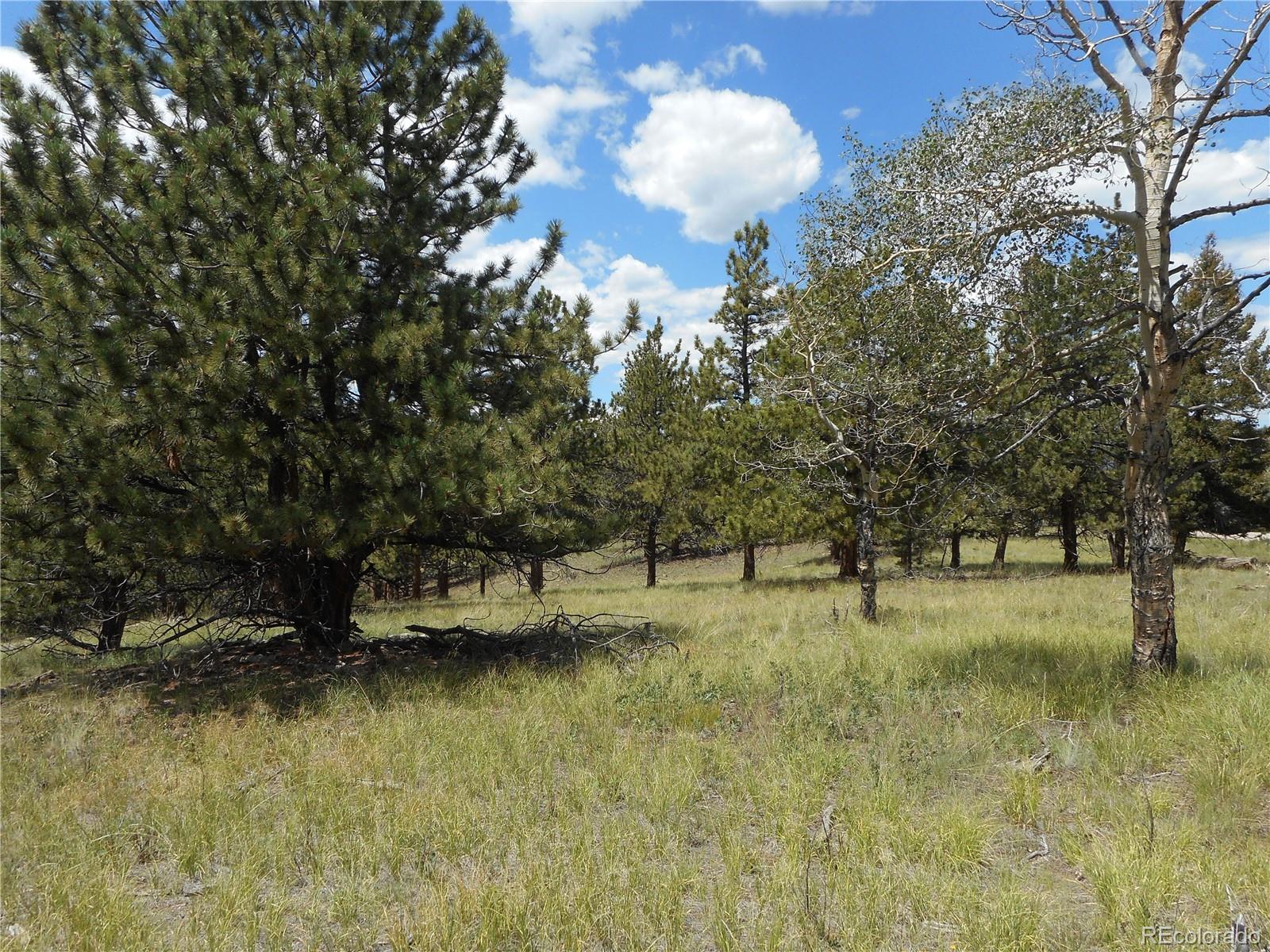 3182 Singletree Road Hartsel, CO 80449 - Photo 4 of 13