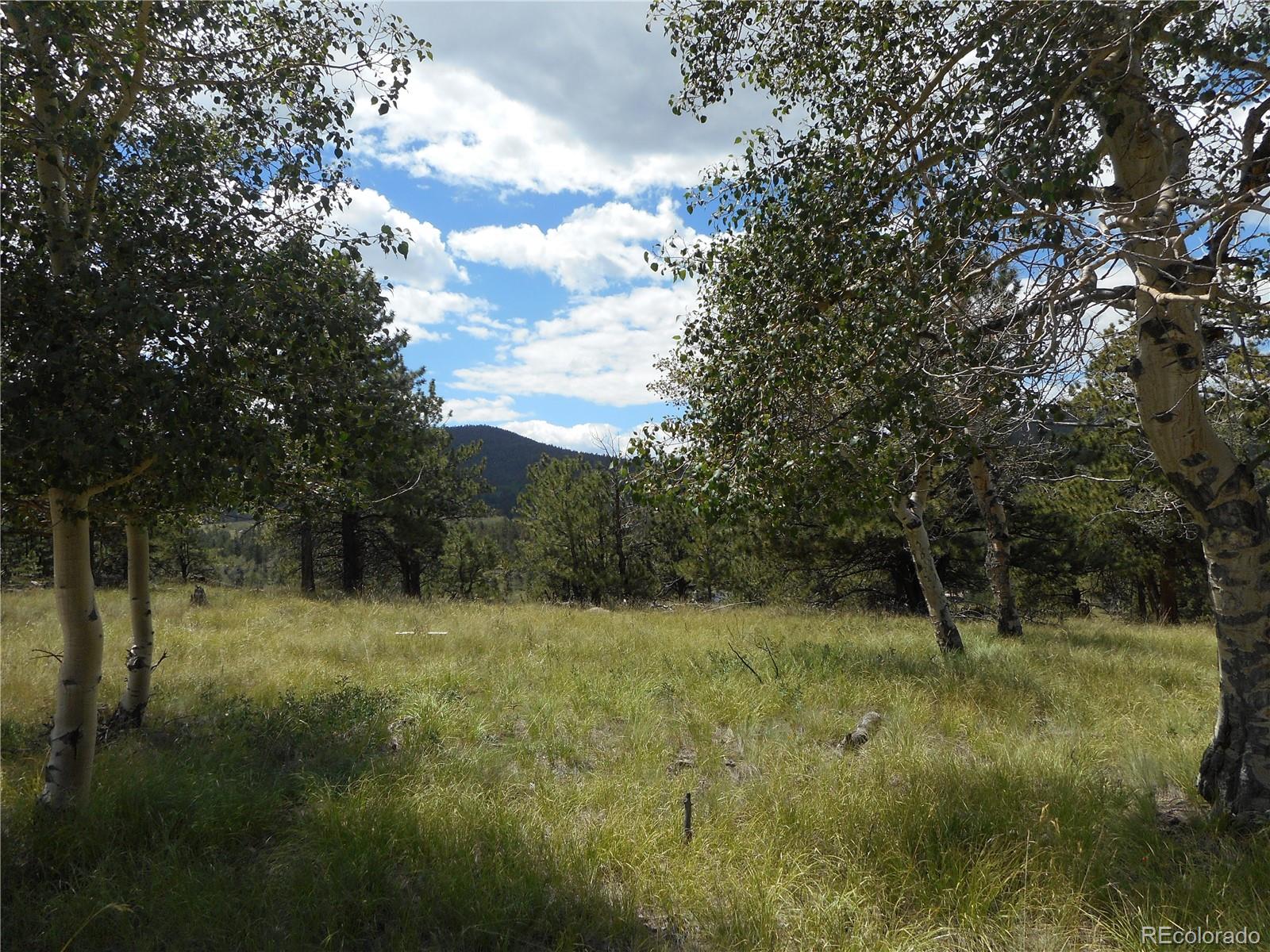 3182 Singletree Road Hartsel, CO 80449 - Photo 5 of 13