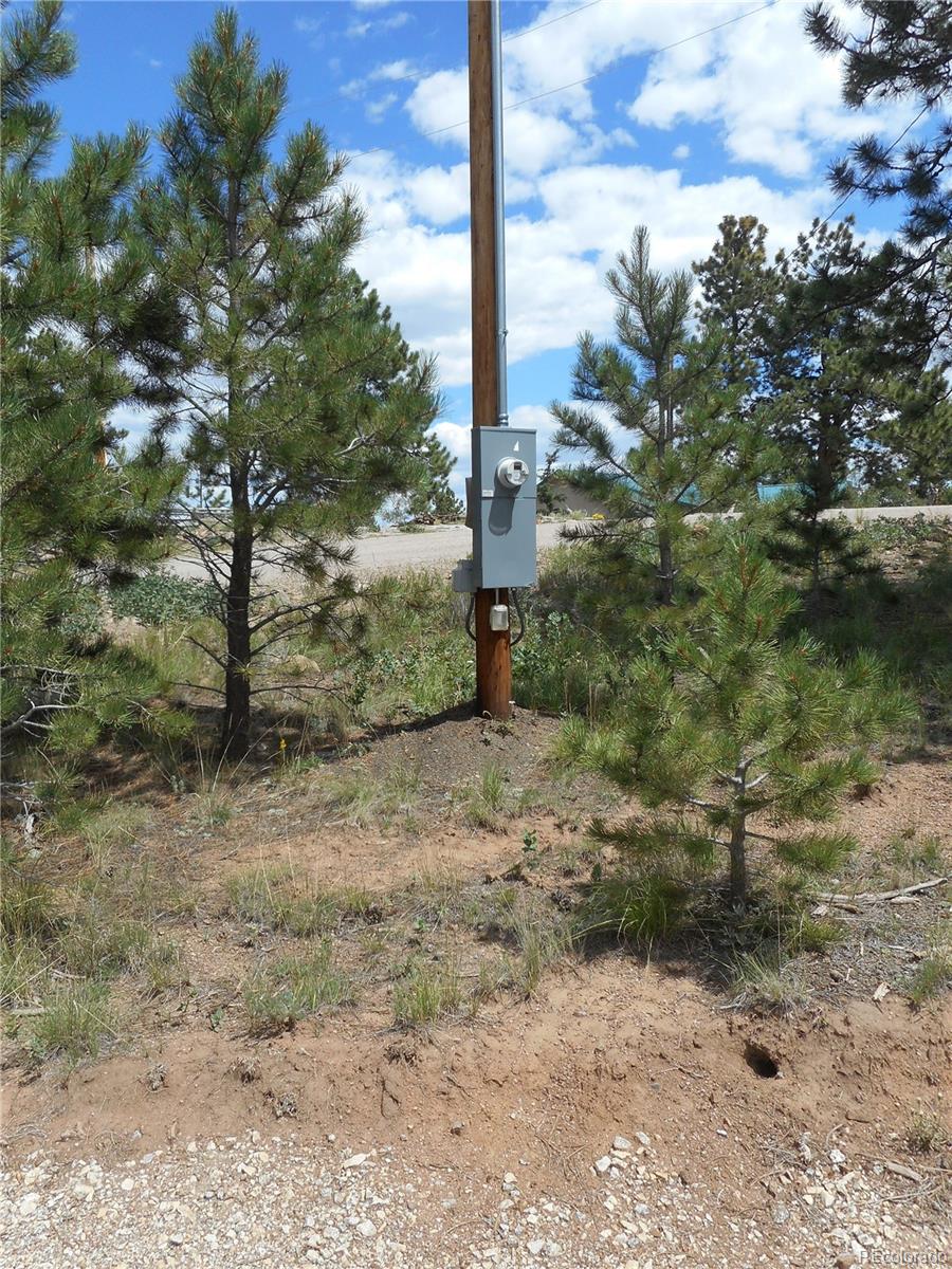 3182 Singletree Road Hartsel, CO 80449 - Photo 6 of 13