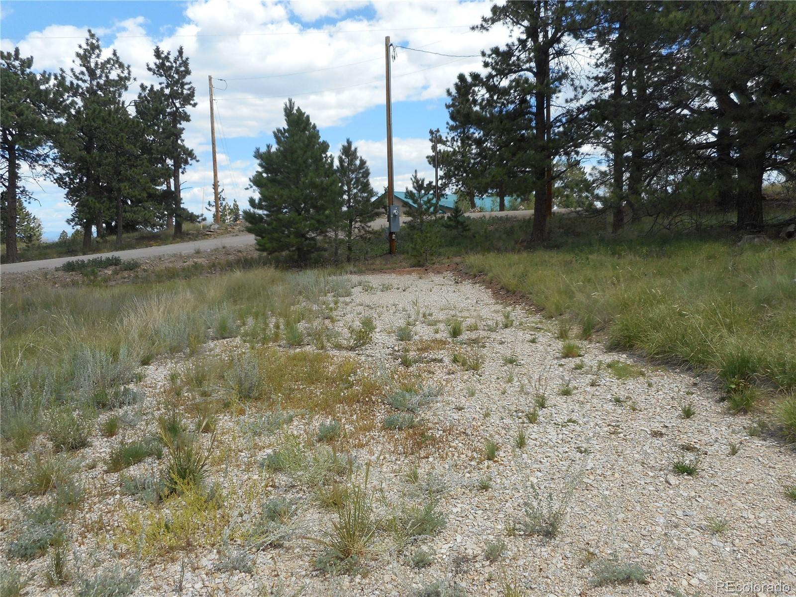3182 Singletree Road Hartsel, CO 80449 - Photo 7 of 13
