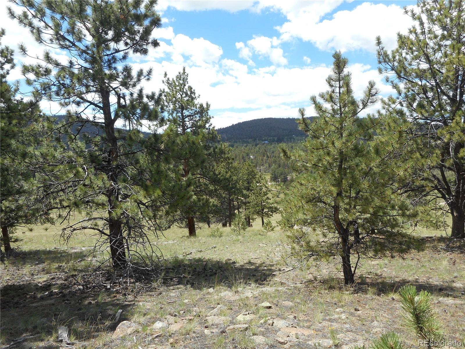 3182 Singletree Road Hartsel, CO 80449 - Photo 8 of 13