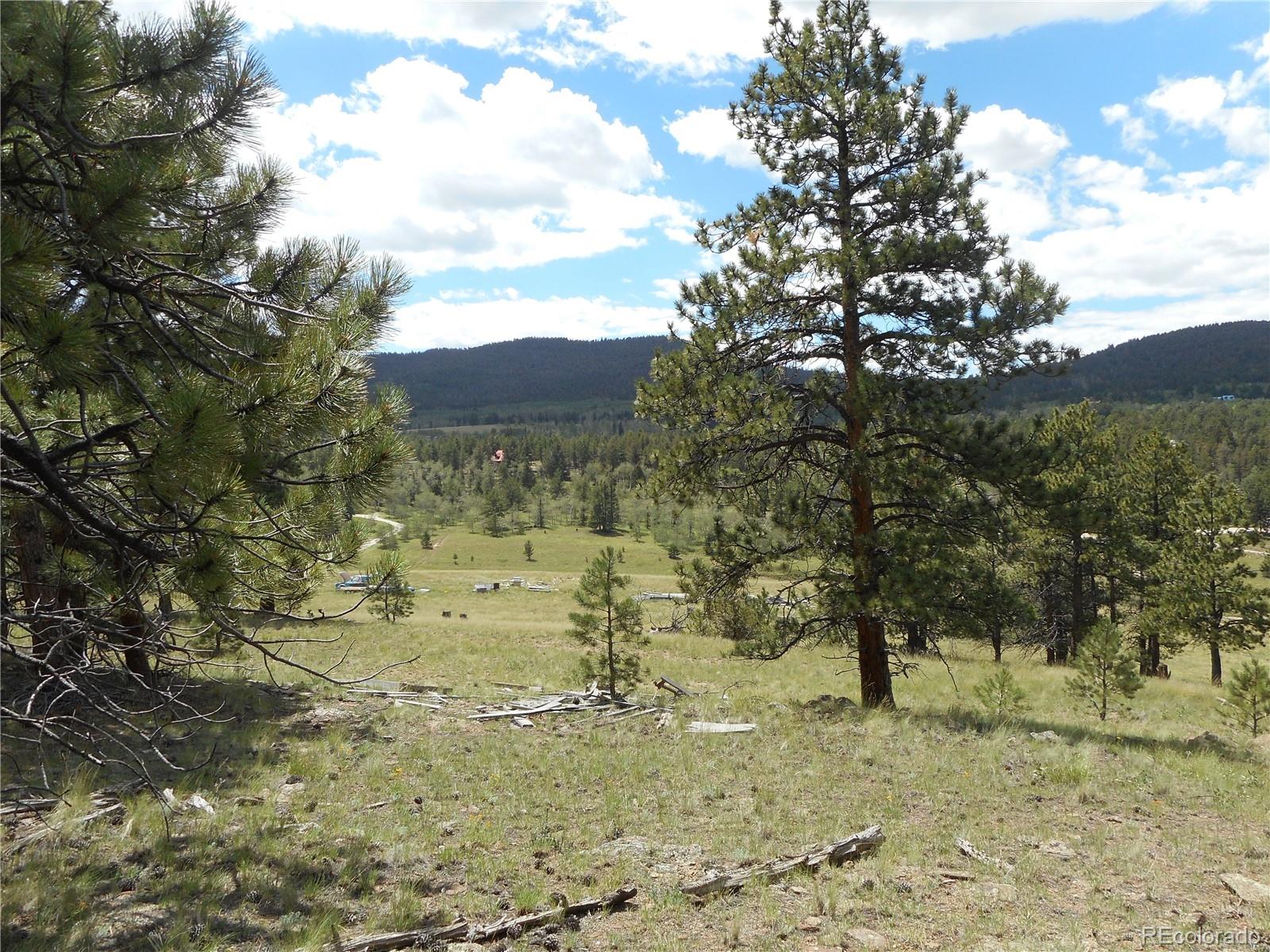 3182 Singletree Road Hartsel, CO 80449 - Photo 10 of 13