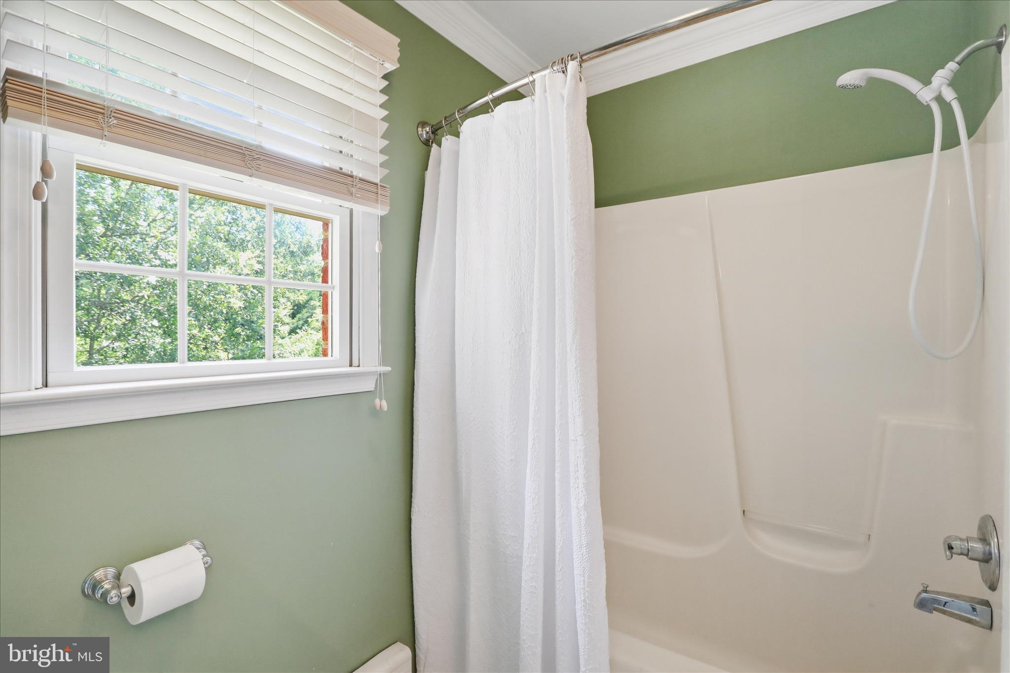 21615 Ridenour Road Boonsboro, MD 21713 - Photo 52 of 81 2nd Floor Bathroom