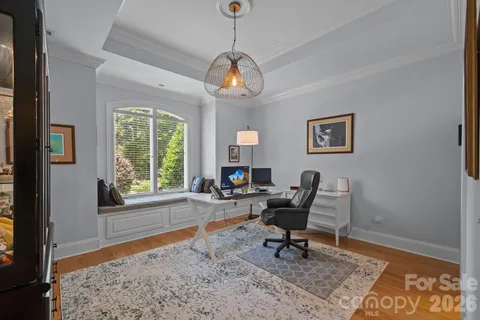 a view of a yard with plants and large trees