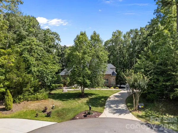 a view of a yard with plants and large trees
