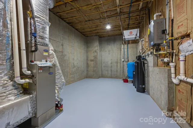 a view of a park with large trees