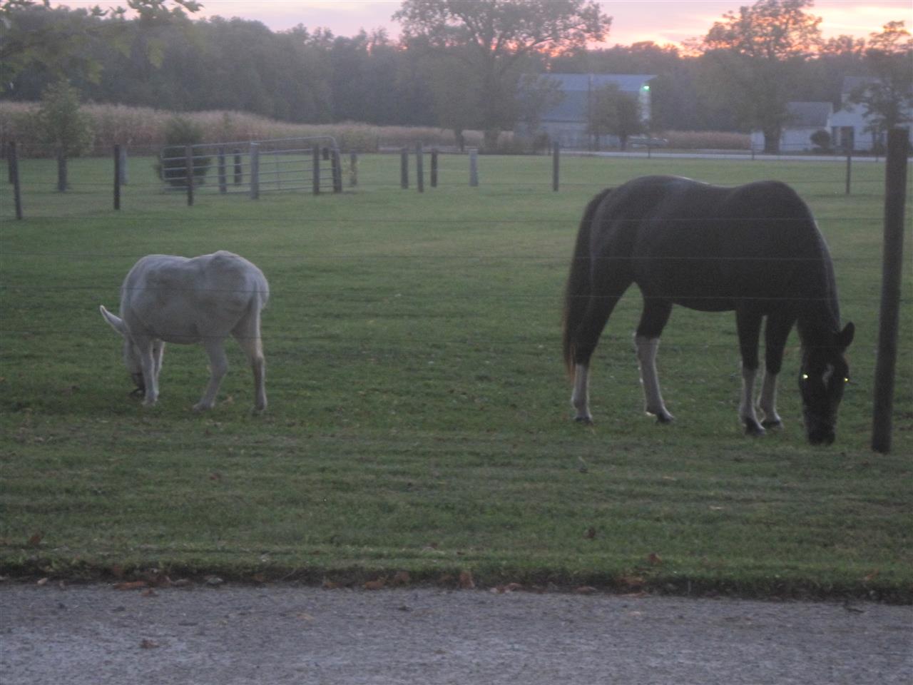 251 South Marion Road Huntington, IN 46750 - Photo 30 of 33 Gallery Image 30