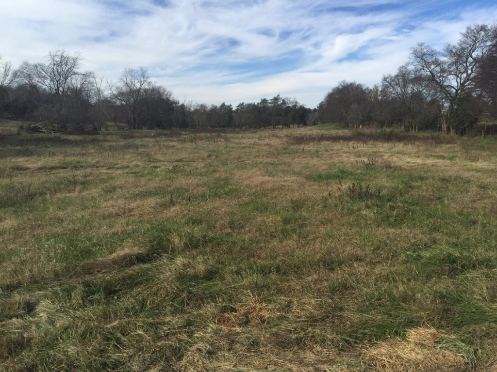 Tbd Opie Bacon Road Jonesborough, TN 37659 - Photo 1 of 13 Photo 1