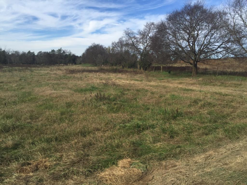 Tbd Opie Bacon Road Jonesborough, TN 37659 - Photo 2 of 13 Photo 2
