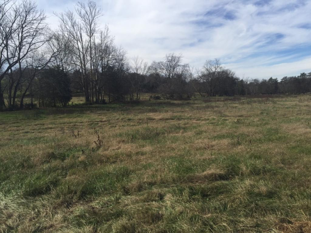 Tbd Opie Bacon Road Jonesborough, TN 37659 - Photo 3 of 13 Photo 3
