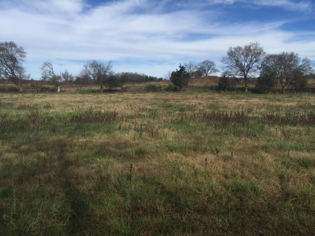 Tbd Opie Bacon Road Jonesborough, TN 37659 - Photo 8 of 13 Photo 8