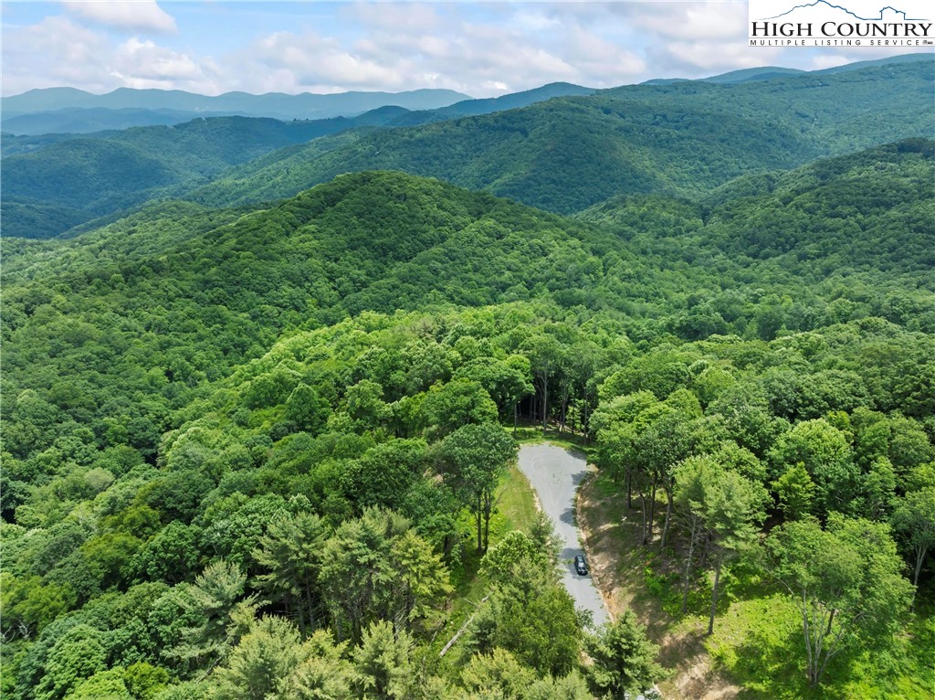 6964 Beech Mountain Road Banner Elk, NC 28604 - Photo 11 of 36 a view of a green field with lots of bushes