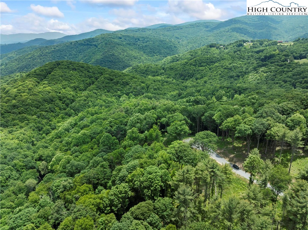 6964 Beech Mountain Road Banner Elk, NC 28604 - Photo 12 of 36 a view of a green field with lots of bushes