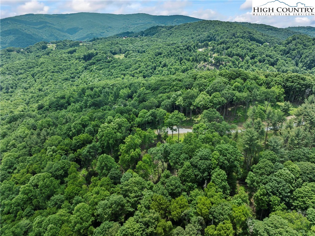 6964 Beech Mountain Road Banner Elk, NC 28604 - Photo 13 of 36 a view of a lush green field