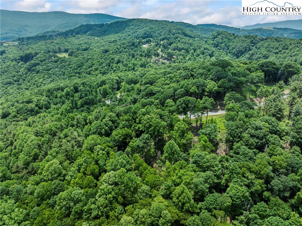 6964 Beech Mountain Road Banner Elk, NC 28604 - Photo 14 of 36 a view of a lush green field