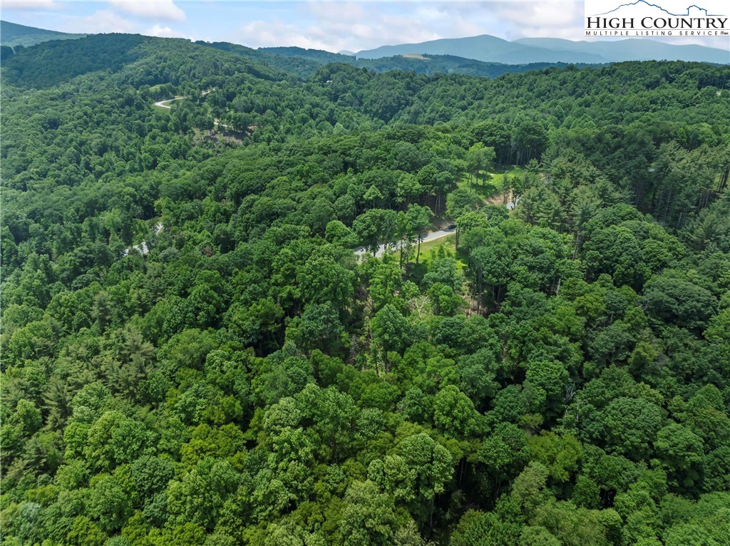 6964 Beech Mountain Road Banner Elk, NC 28604 - Photo 15 of 36 a view of a lush green forest with trees and some houses