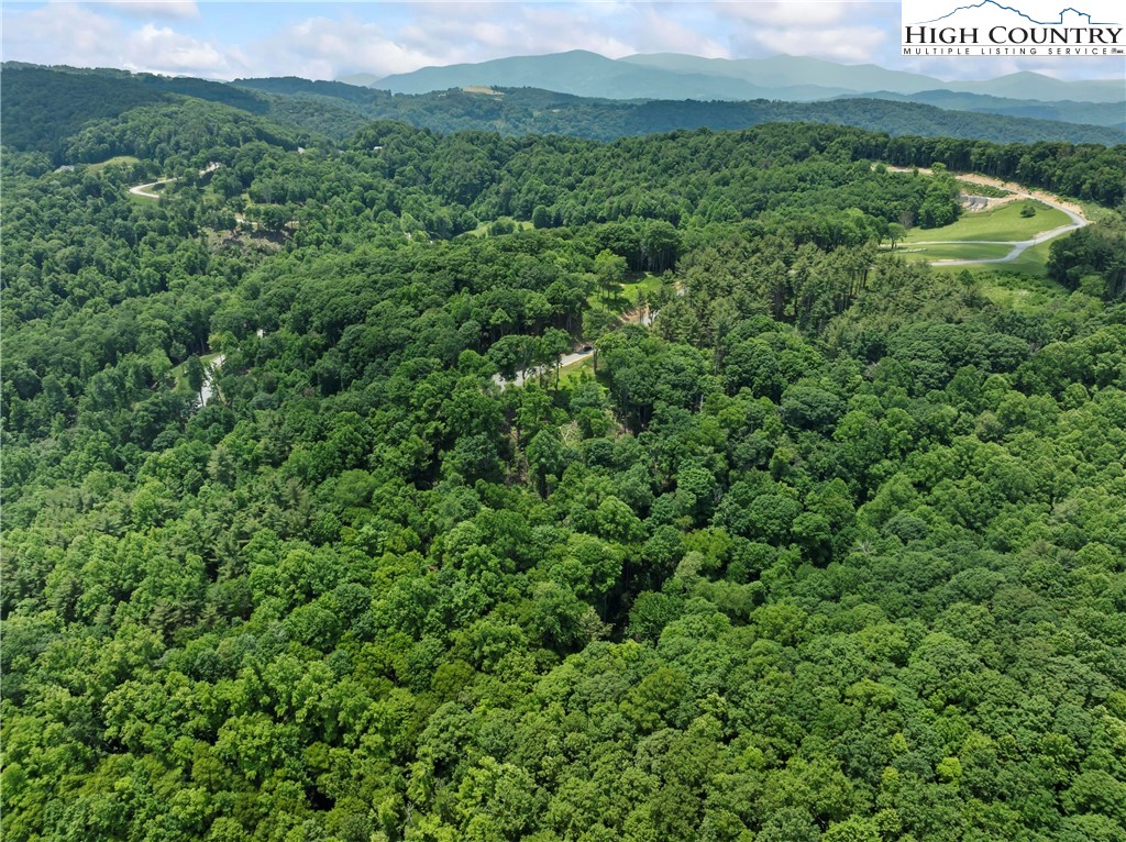 6964 Beech Mountain Road Banner Elk, NC 28604 - Photo 16 of 36 a view of a big yard with lots of green space