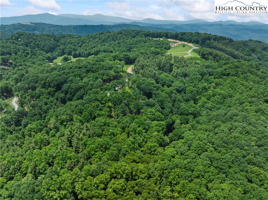 6964 Beech Mountain Road Banner Elk, NC 28604 - Photo 17 of 36 a view of a lush green forest