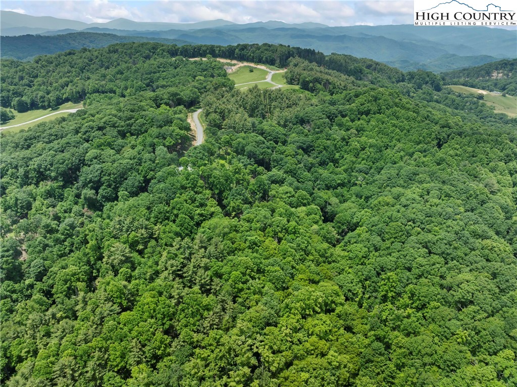 6964 Beech Mountain Road Banner Elk, NC 28604 - Photo 18 of 36 a view of a large yard with lots of green space