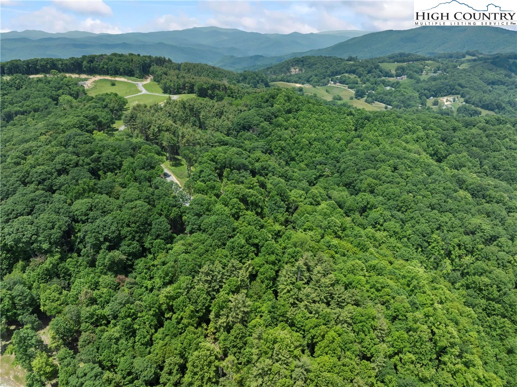 6964 Beech Mountain Road Banner Elk, NC 28604 - Photo 19 of 36 a view of a lush green forest with trees and some houses