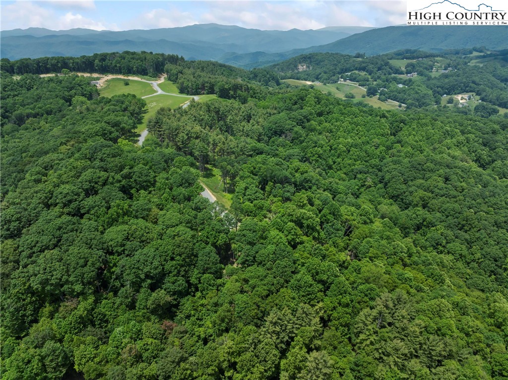 6964 Beech Mountain Road Banner Elk, NC 28604 - Photo 20 of 36 a view of a lush green forest with trees and some houses