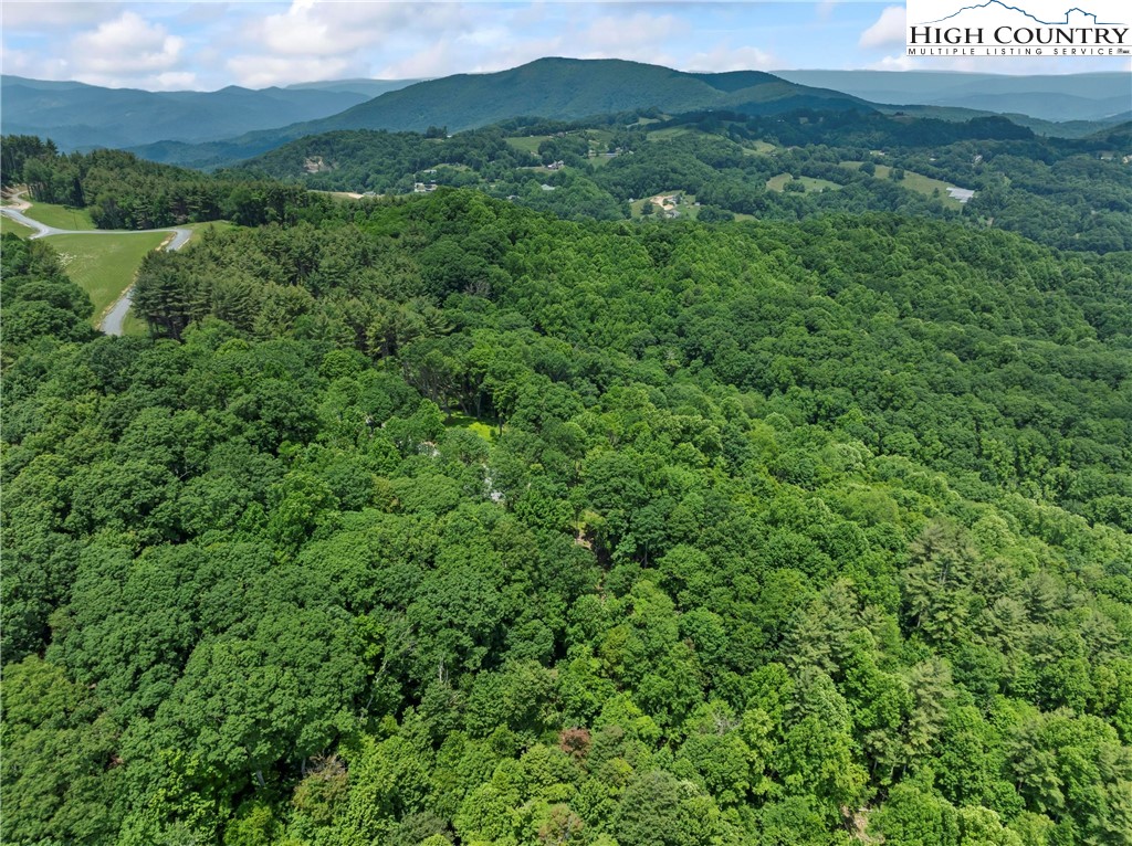 6964 Beech Mountain Road Banner Elk, NC 28604 - Photo 21 of 36 a view of a lush green forest with trees and houses