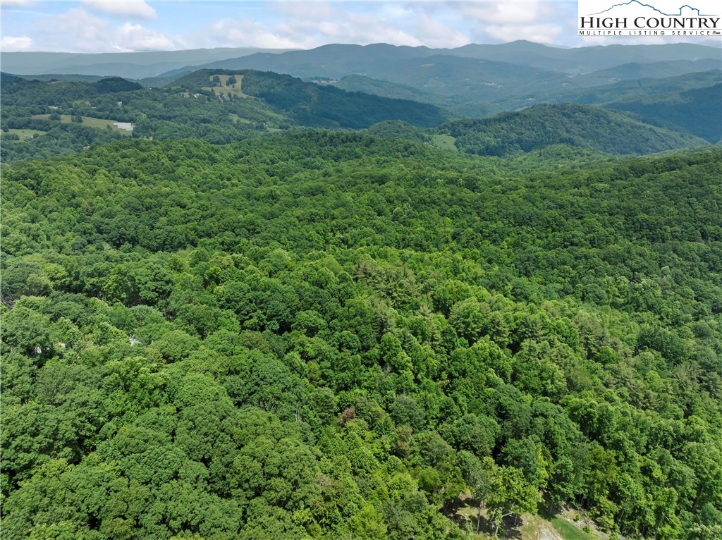 6964 Beech Mountain Road Banner Elk, NC 28604 - Photo 23 of 36 a view of a lush green forest with lush green forest
