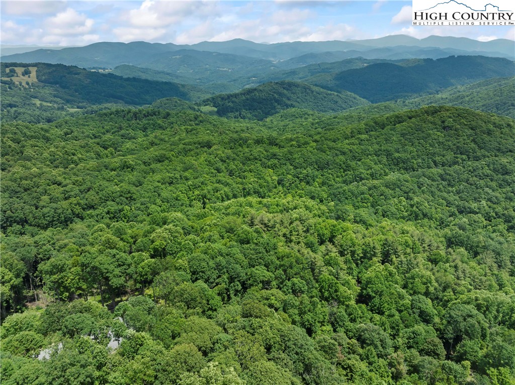 6964 Beech Mountain Road Banner Elk, NC 28604 - Photo 24 of 36 a view of a lush green hillside and a houses