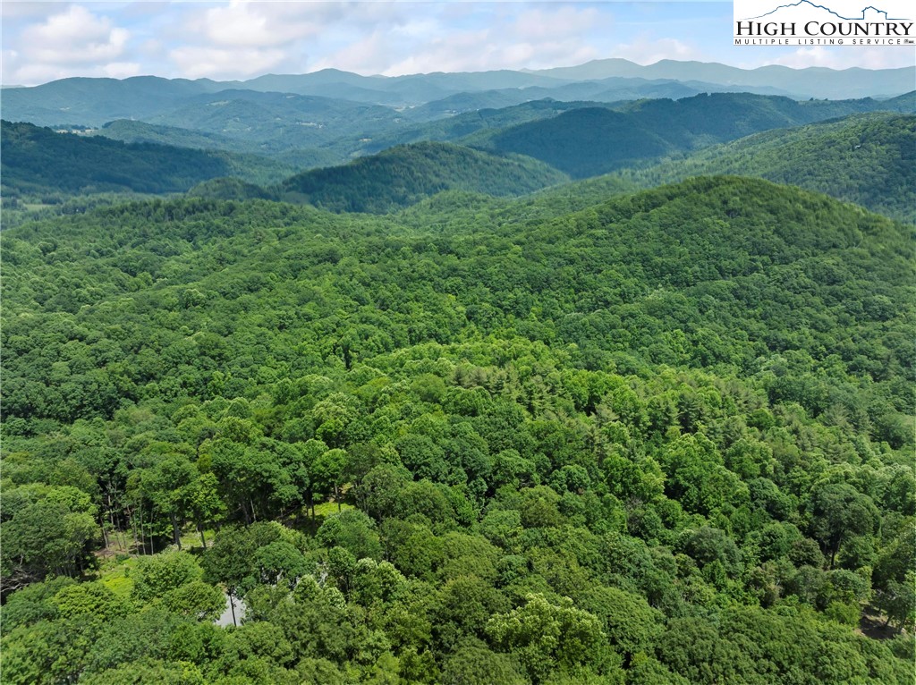6964 Beech Mountain Road Banner Elk, NC 28604 - Photo 25 of 36 a view of a lush green hillside and a houses