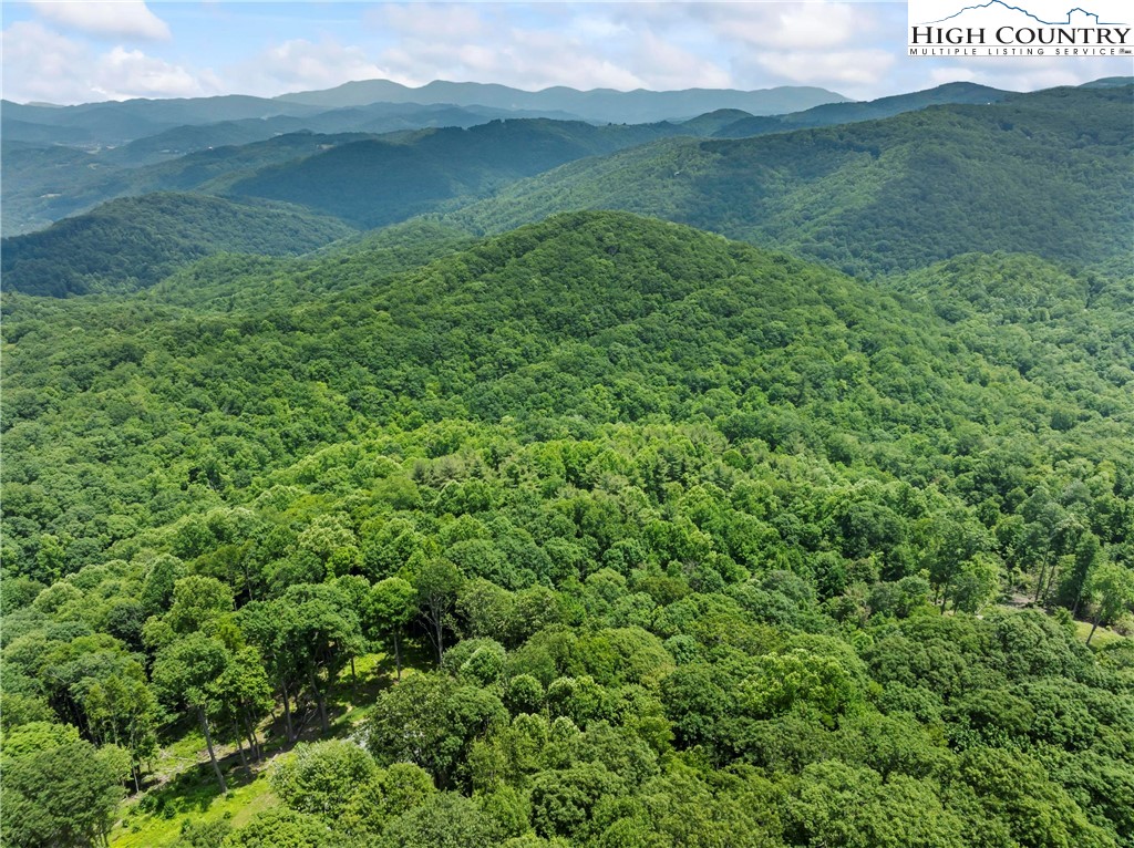 6964 Beech Mountain Road Banner Elk, NC 28604 - Photo 26 of 36 a view of a lush green hillside and a houses