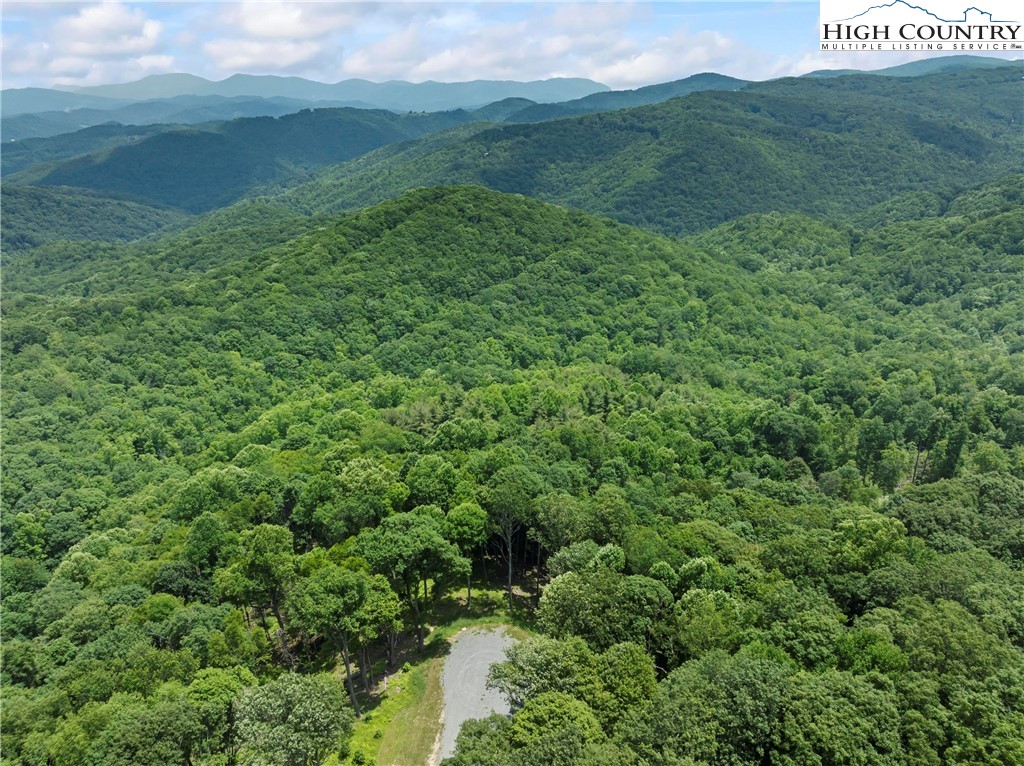 6964 Beech Mountain Road Banner Elk, NC 28604 - Photo 27 of 36 a view of a lush green forest with a mountain