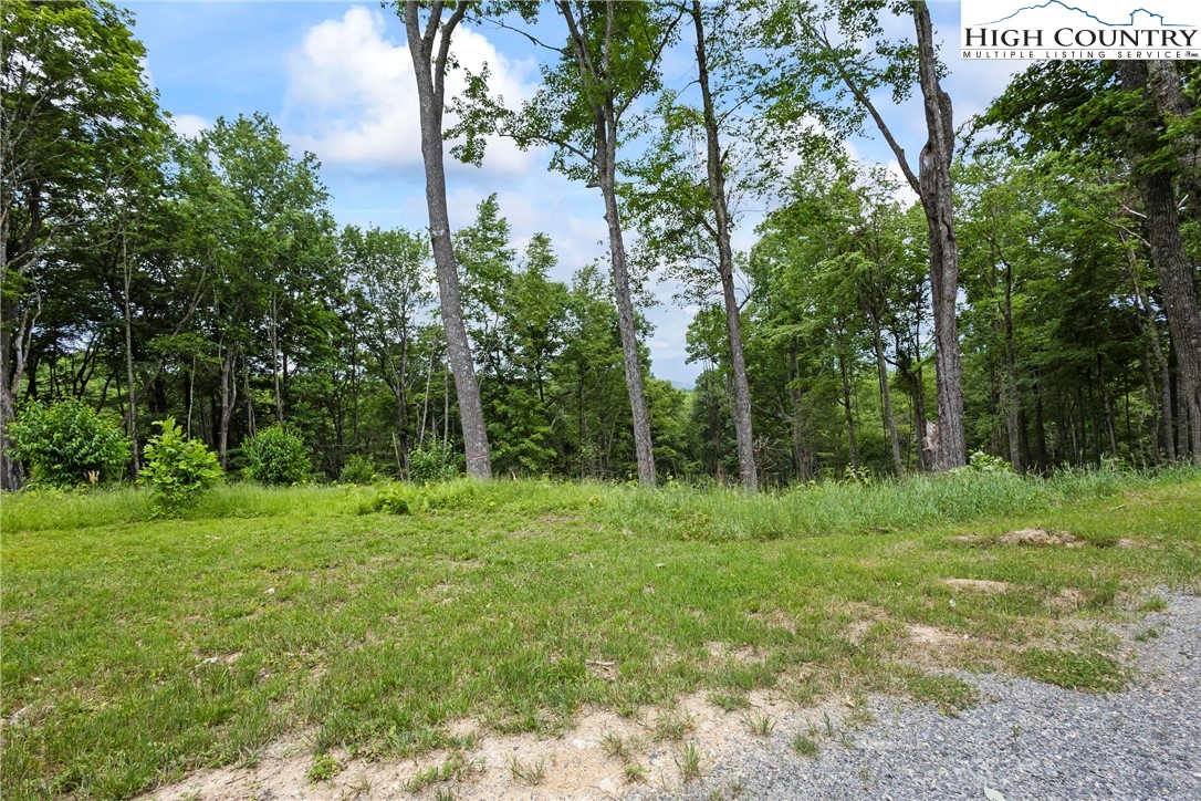 6964 Beech Mountain Road Banner Elk, NC 28604 - Photo 28 of 36 a view of outdoor space with green field and trees