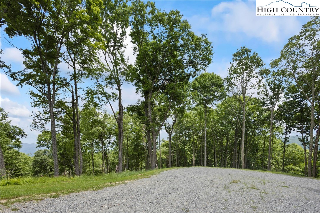 6964 Beech Mountain Road Banner Elk, NC 28604 - Photo 29 of 36 a view of a forest with trees in front of it