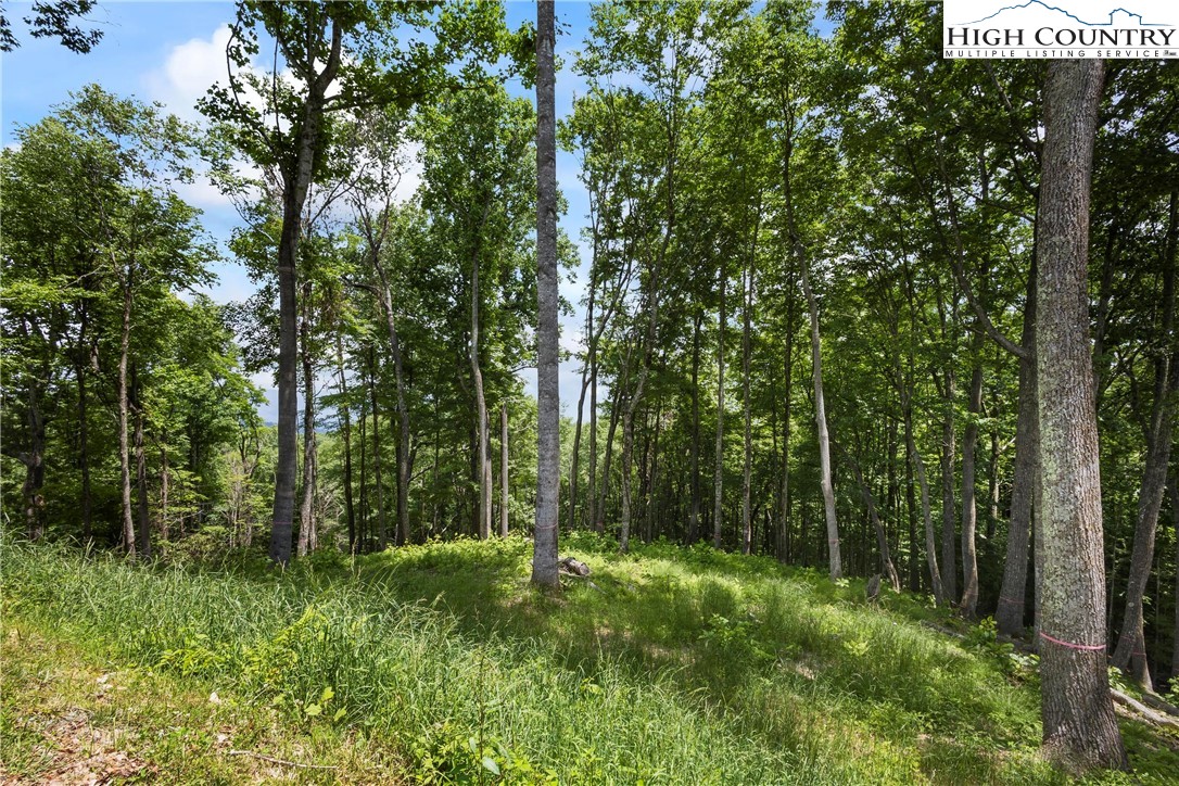 6964 Beech Mountain Road Banner Elk, NC 28604 - Photo 31 of 36 a view of outdoor space and green space