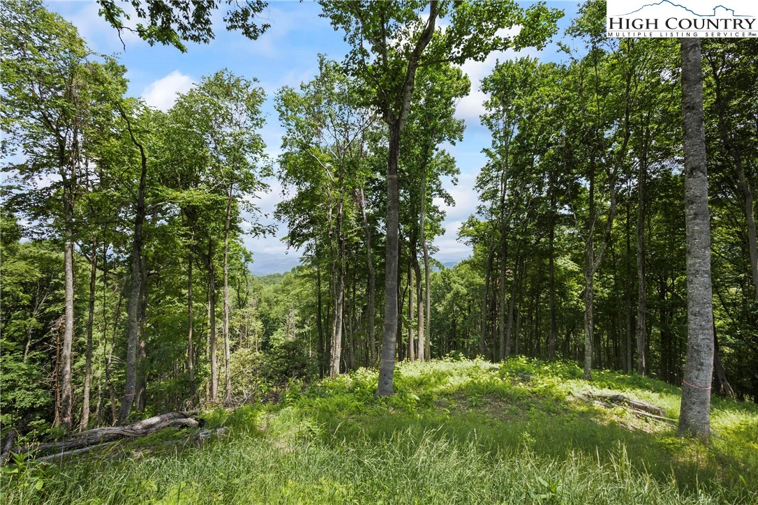 6964 Beech Mountain Road Banner Elk, NC 28604 - Photo 33 of 36 a backyard of a house with lots of green space