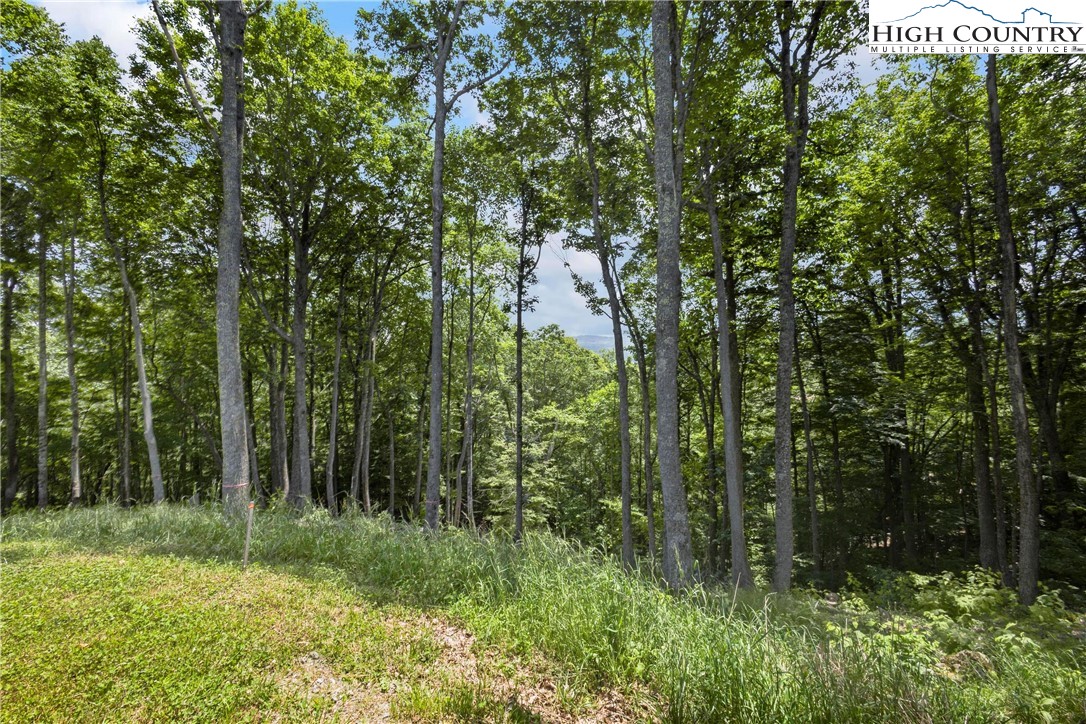6964 Beech Mountain Road Banner Elk, NC 28604 - Photo 36 of 36 a view of a lush green forest