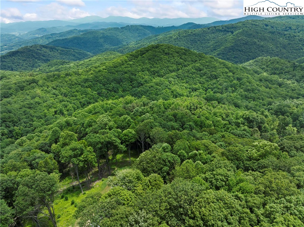 6964 Beech Mountain Road Banner Elk, NC 28604 - Photo 5 of 36 a view of a lush green space