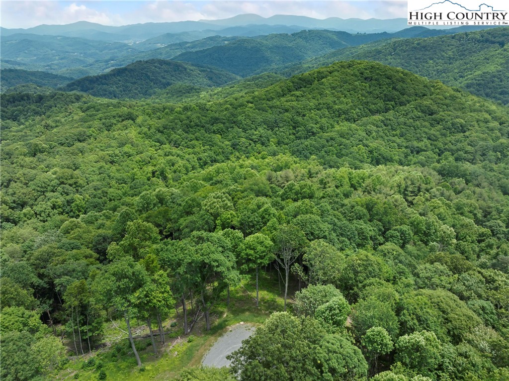 6964 Beech Mountain Road Banner Elk, NC 28604 - Photo 6 of 36 a view of a lush green forest with trees and some houses
