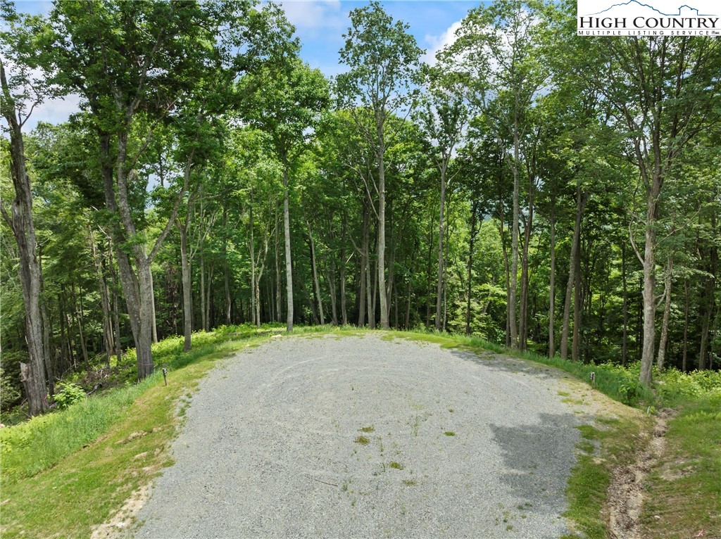 6964 Beech Mountain Road Banner Elk, NC 28604 - Photo 8 of 36 a view of a road with a trees