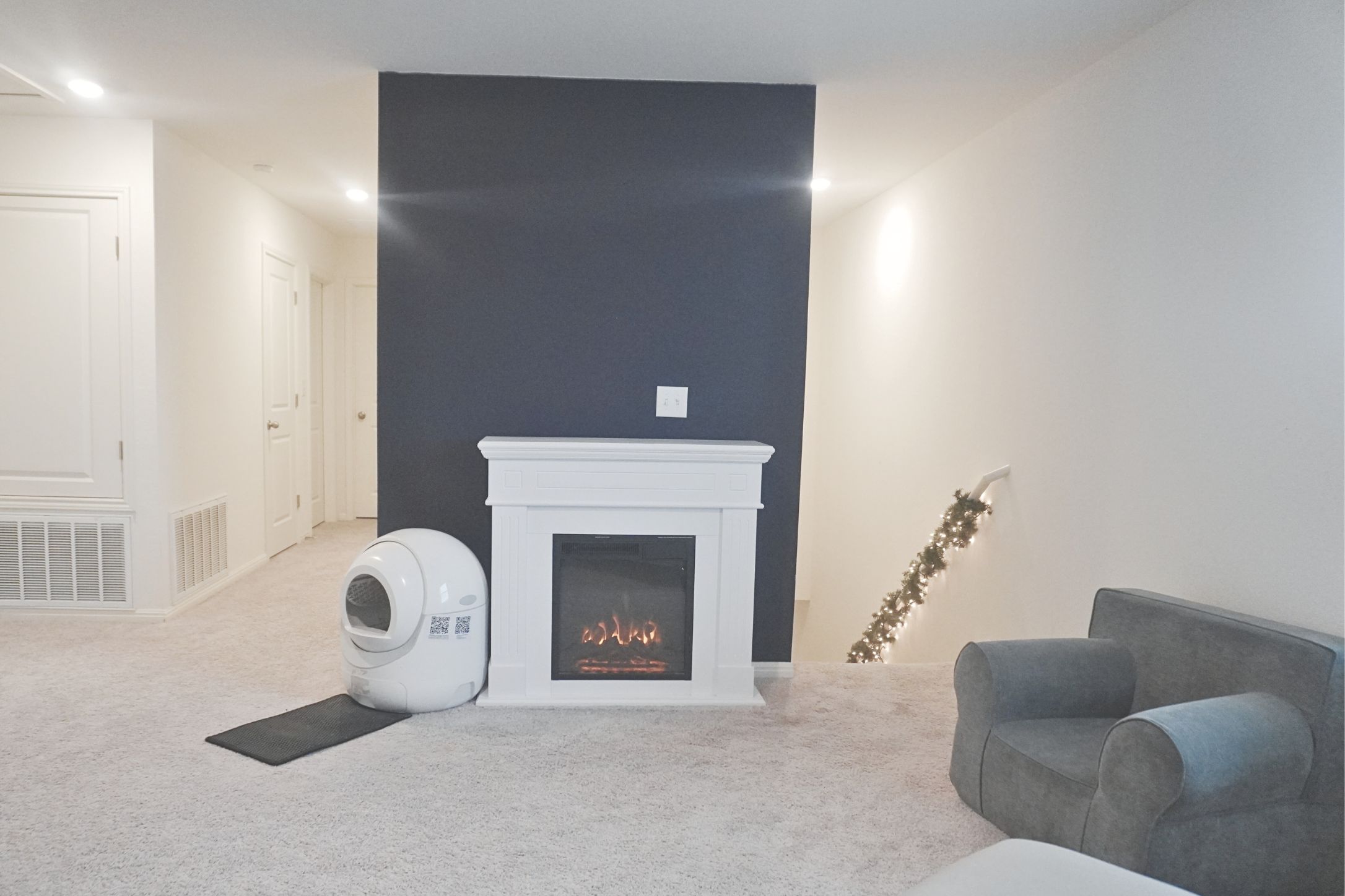 313 Magnum Force Drive Jarrell, TX 76537 - Photo 13 of 27 2nd level living room featuring carpet floors