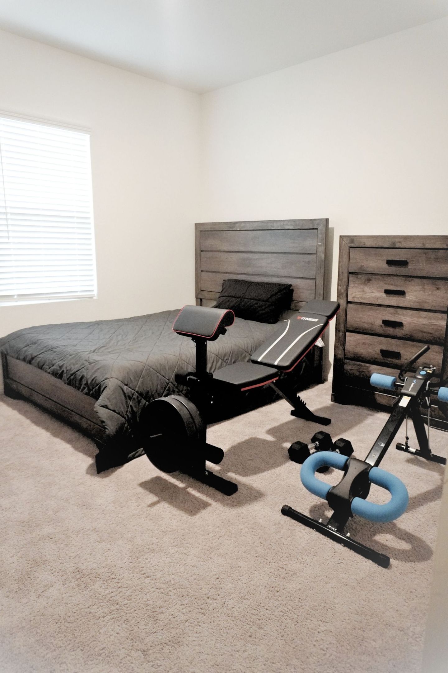 313 Magnum Force Drive Jarrell, TX 76537 - Photo 9 of 27 Bedroom featuring carpet