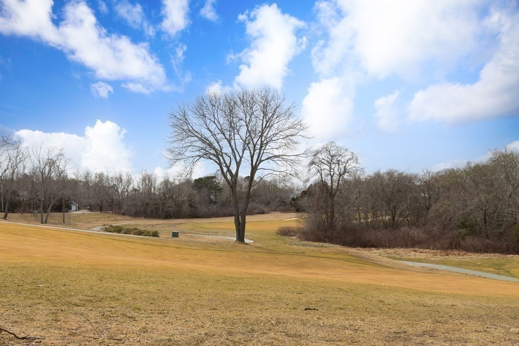 105 Parker Road, Unit A Barnstable, MA 02655 - Photo 23 of 37 a view of yard with large trees