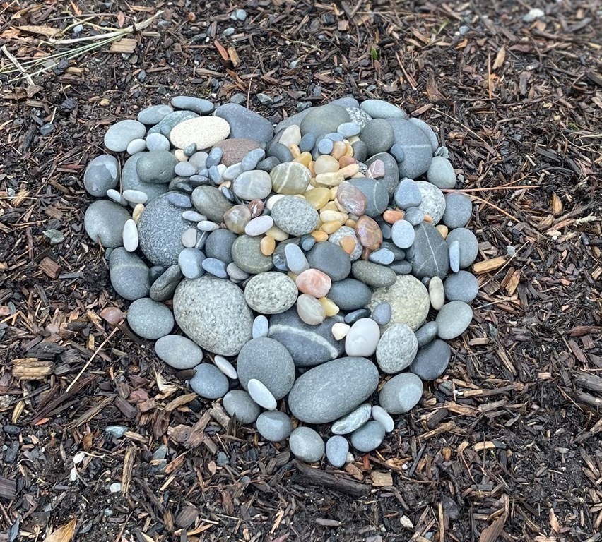 105 Parker Road, Unit A Barnstable, MA 02655 - Photo 35 of 37 a view of a wooden floor with some trees