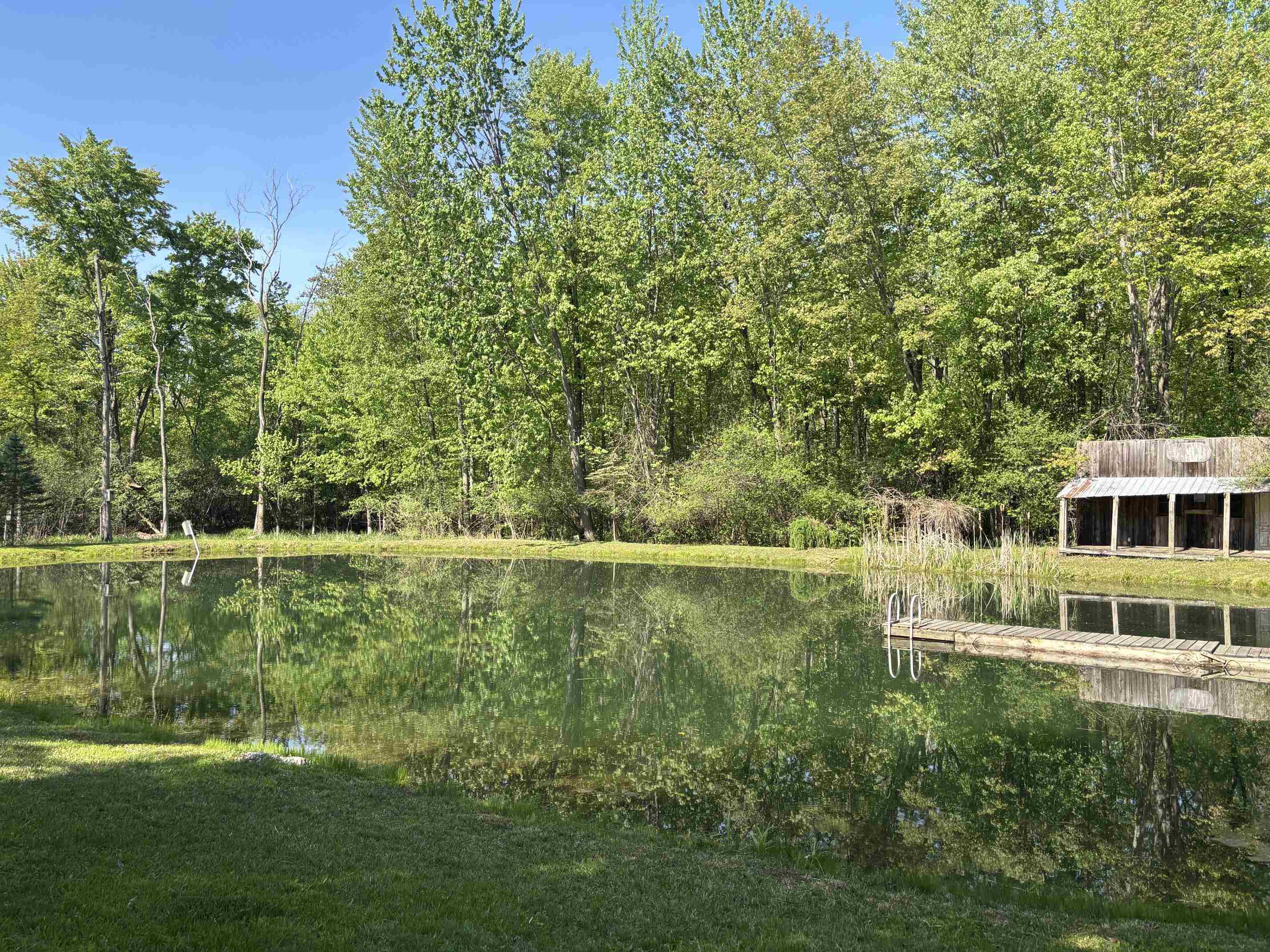 6364 Townline Road Birch Run, MI 48415 - Photo 3 of 20