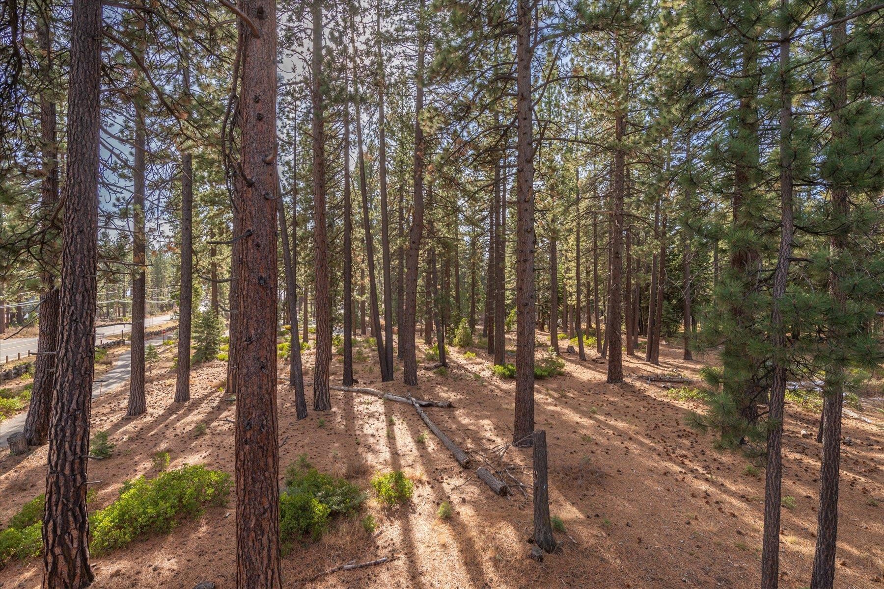 6980 Toyon Road Tahoe Vista, CA 96148 - Photo 27 of 27