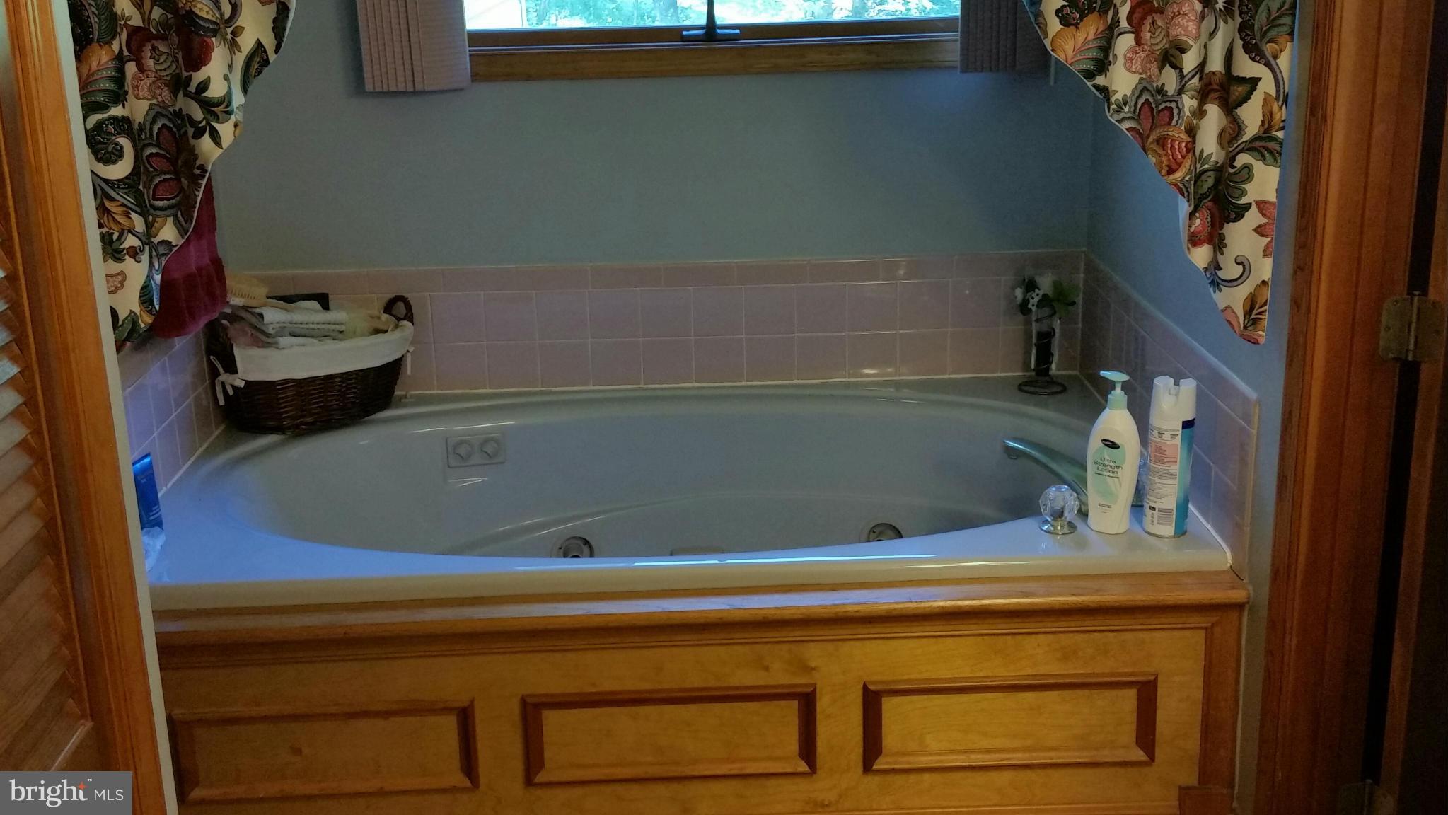 7163 Stuart Road King George, VA 22485 - Photo 20 of 27 Jetted Tub